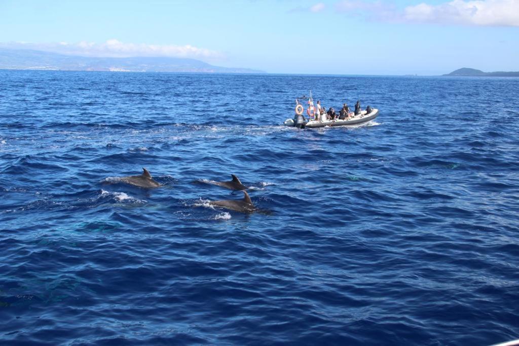 Cantinho Dos Cagarros Lajes do Pico Eksteriør billede