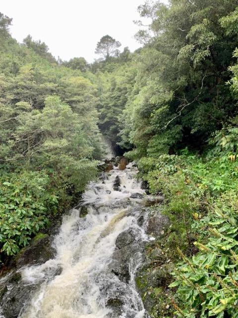 Cantinho Dos Cagarros Lajes do Pico Eksteriør billede