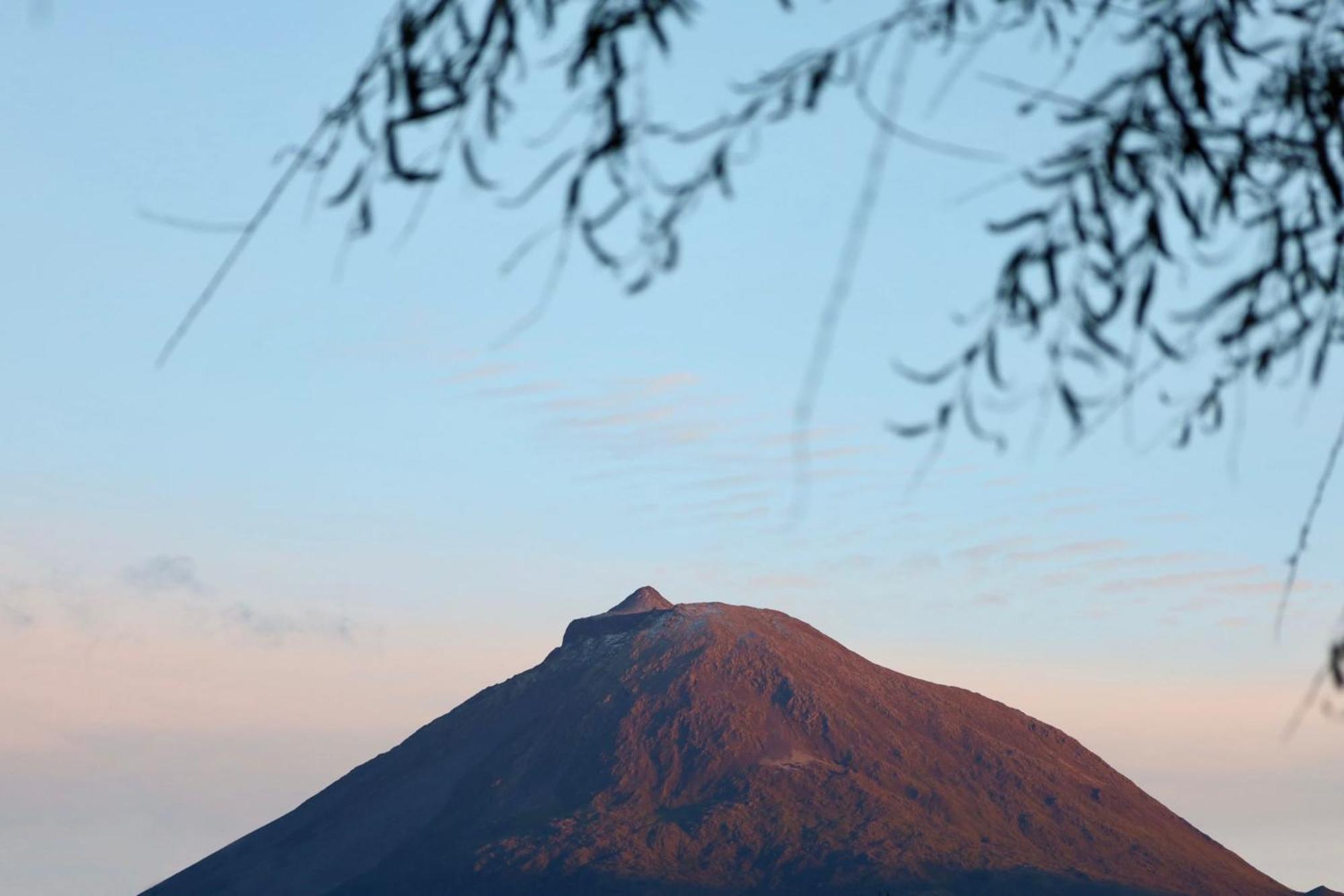 Cantinho Dos Cagarros Lajes do Pico Eksteriør billede