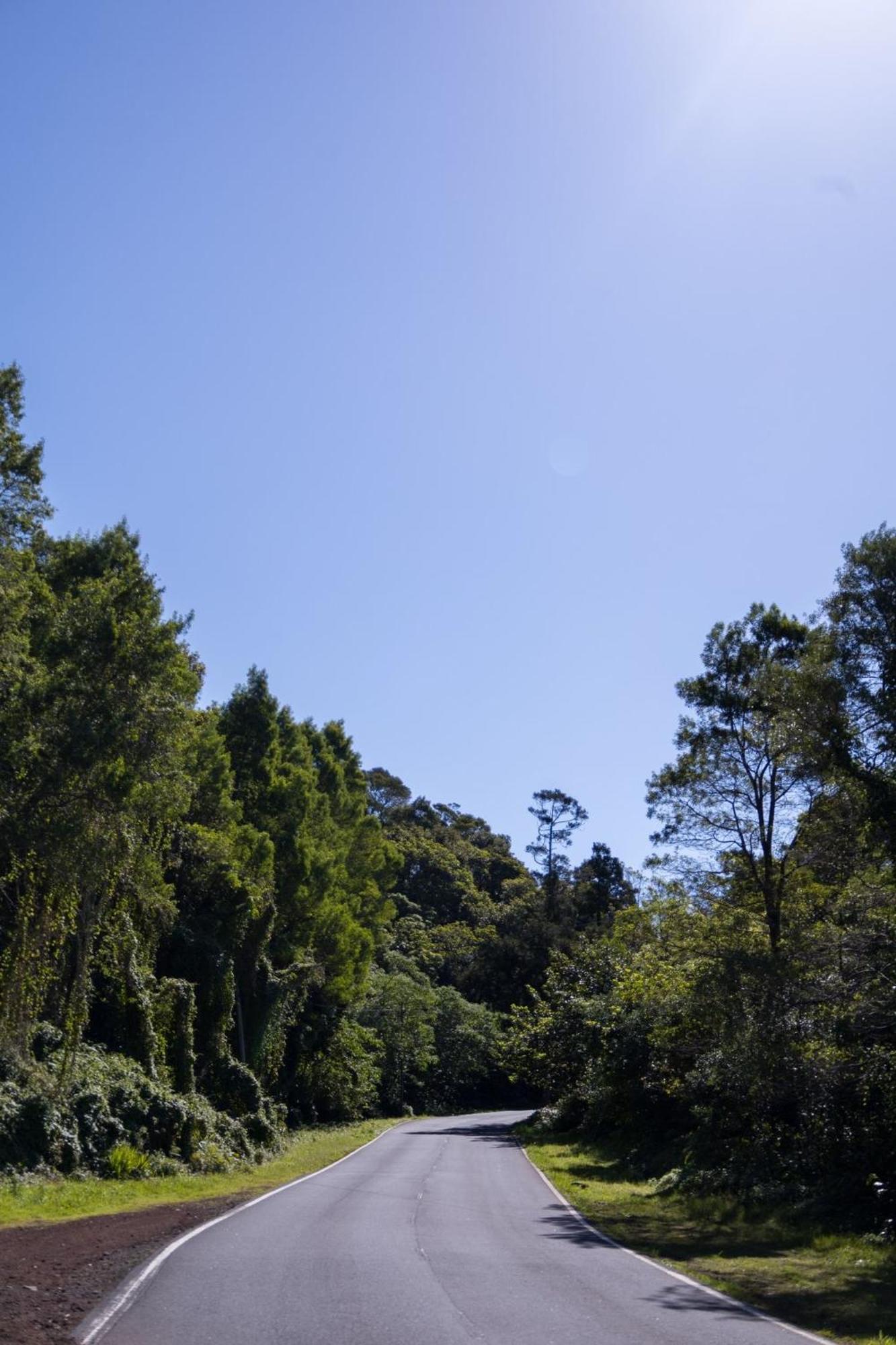 Cantinho Dos Cagarros Lajes do Pico Eksteriør billede