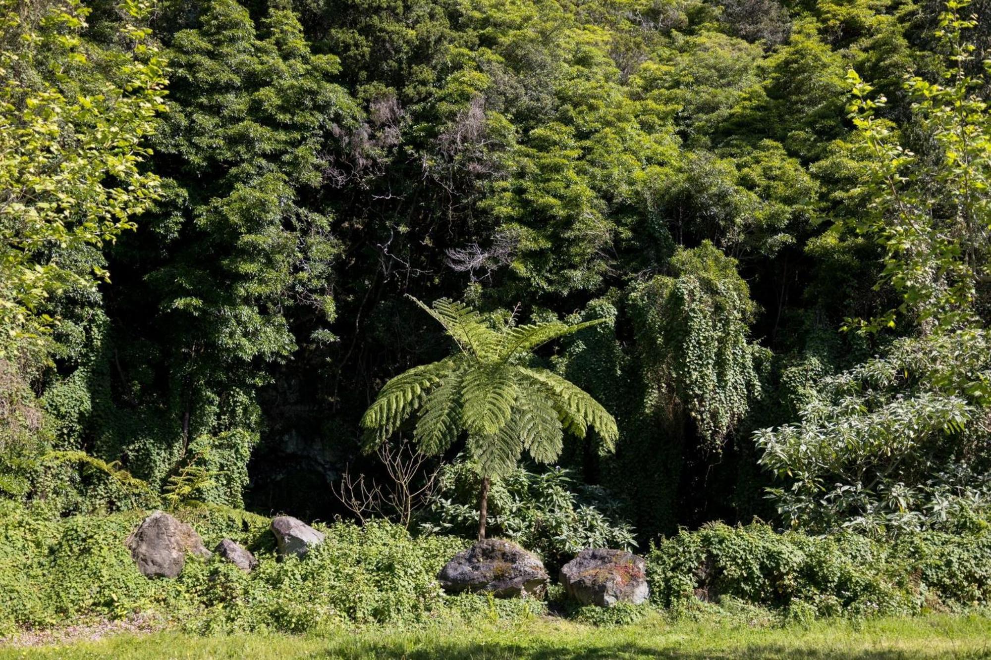 Cantinho Dos Cagarros Lajes do Pico Eksteriør billede